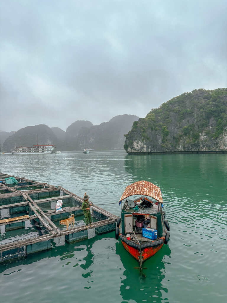 Fish Farm near Cat Ba Island